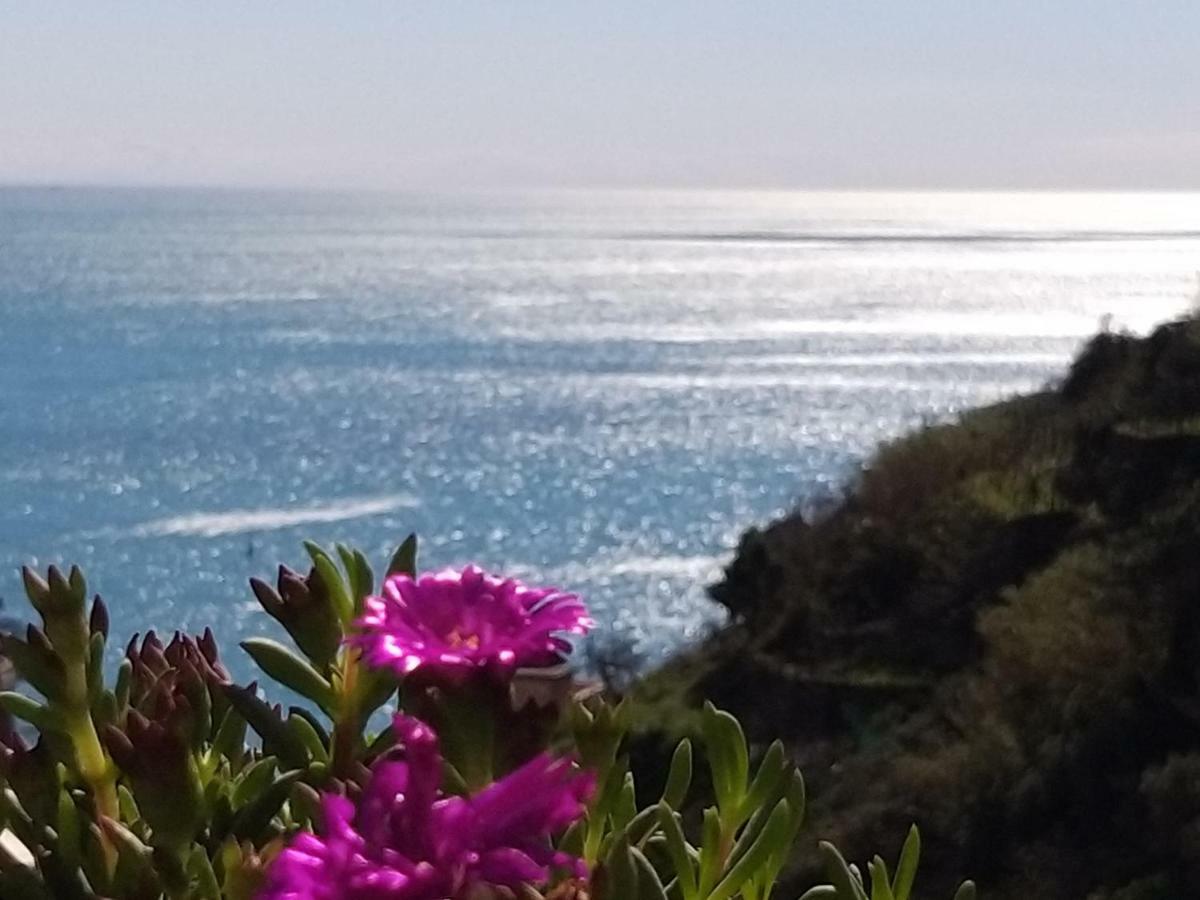 Suite Ριοματζόρε Εξωτερικό φωτογραφία